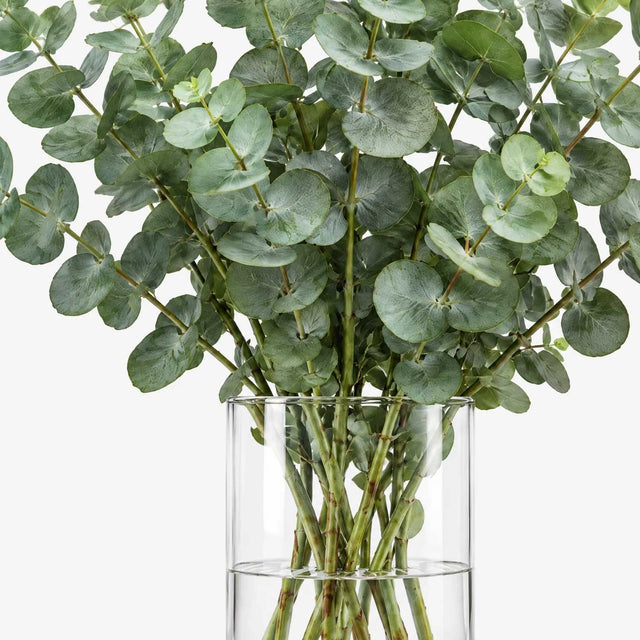 Eucalyptus Bunch - Flower Bouquet - The Blossomist