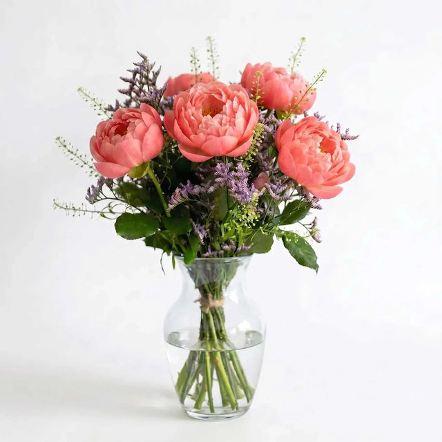 Coral Peony Letterbox Flowers