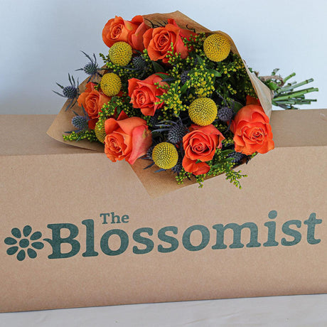 The Firecracker - The Blossomist