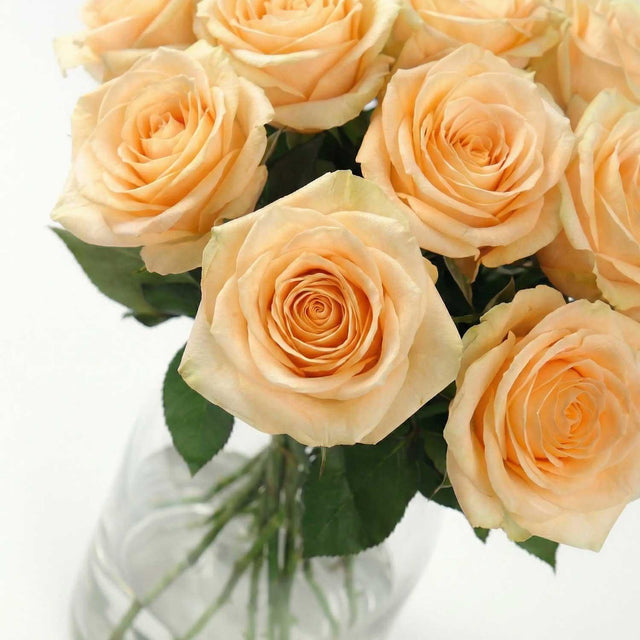 Peach Rose Bouquet - Flower Bouquet - The Blossomist