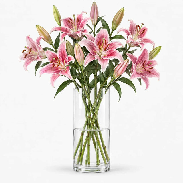Pink Oriental Lilies
