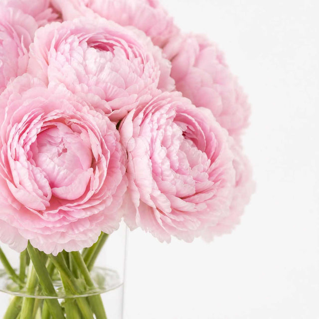 Pink Peonies Bouquet