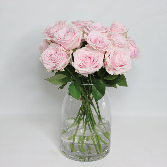 Pink Avalanche Roses - The Blossomist