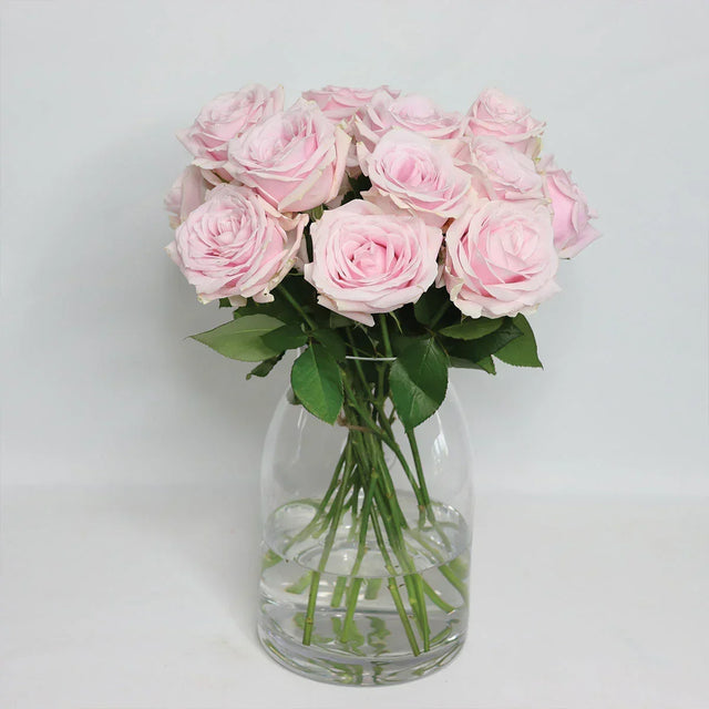 Pink Avalanche Roses - The Blossomist