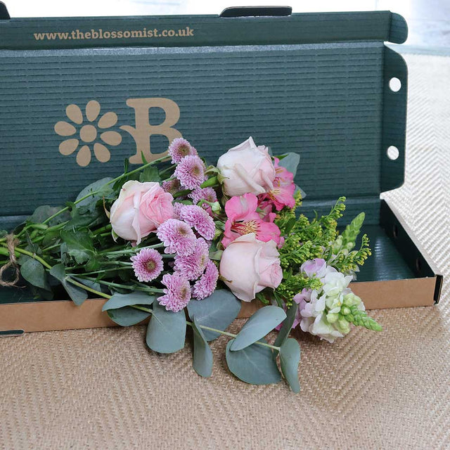 Letterbox Roses - The Blossomist