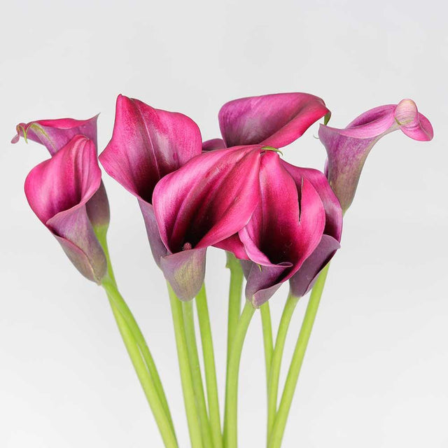 12-Month Single Stem Valentines Flower Subscription