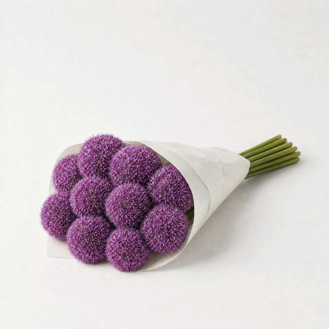 Allium Gladiator