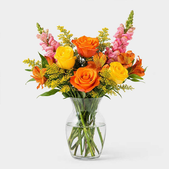 The Saffron Letterbox Flowers