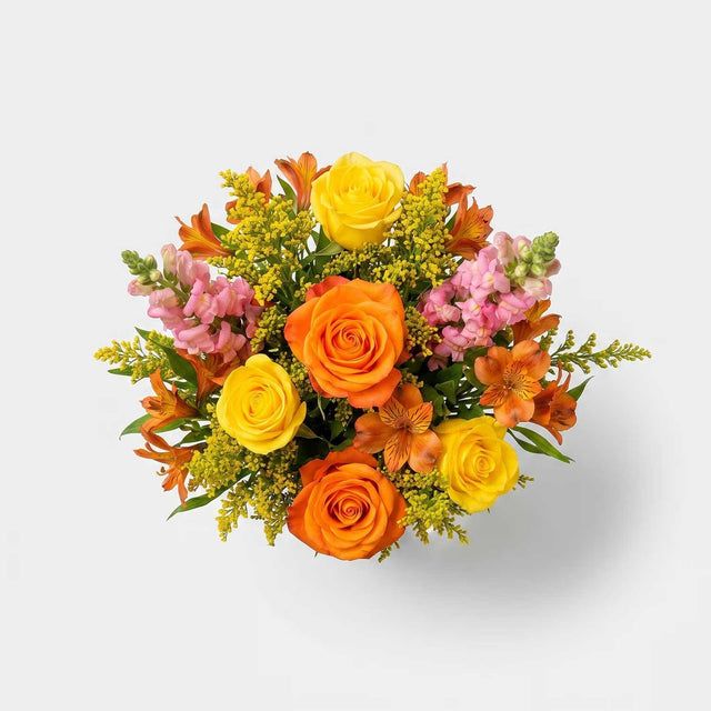 The Saffron Letterbox Flowers