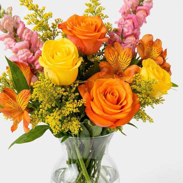 The Saffron Letterbox Flowers