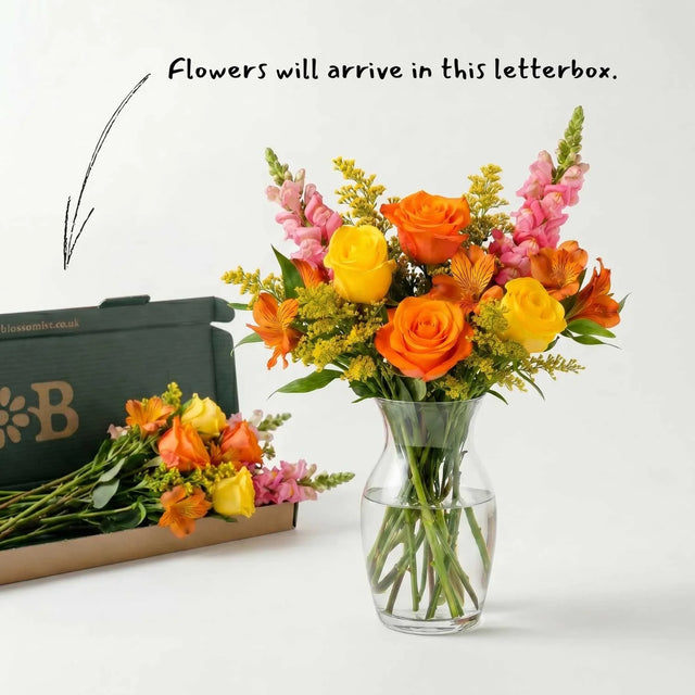 The Saffron Letterbox Flowers