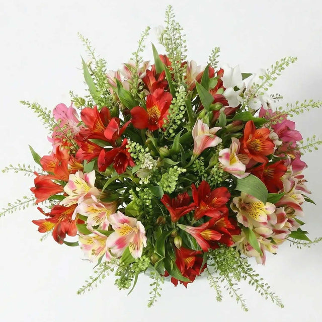 The Tiny Meadow Letterbox Flowers