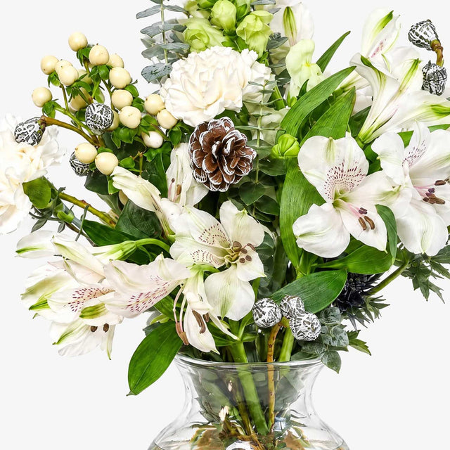 Close up of White Christmas letterbox flowers packed in a gift box