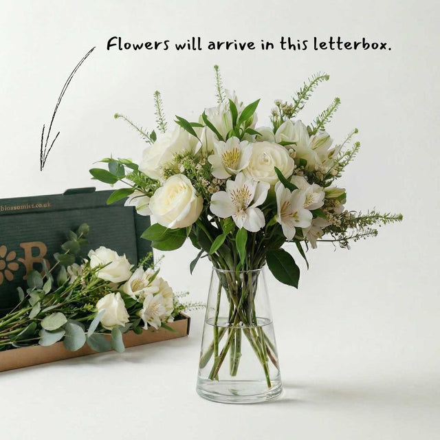 Thinking of You Letterbox Flowers