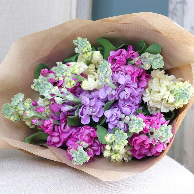 Scented British Stock Bouquet - The Blossomist