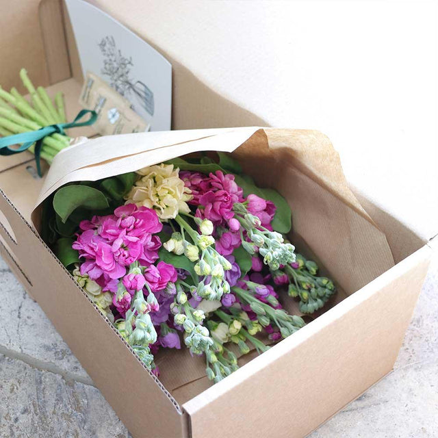 Scented British Stock Bouquet - The Blossomist