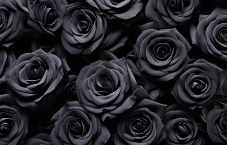 10 of the Spookiest Flowers for the Halloween Season - The Blossomist