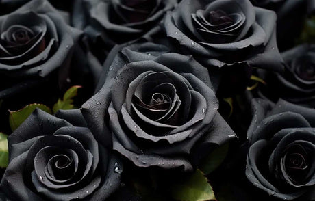 10 of the Spookiest Flowers for the Halloween Season