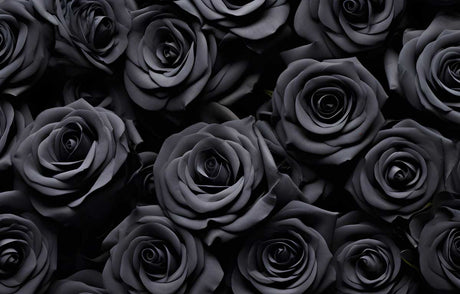 10 of the Spookiest Flowers for the Halloween Season