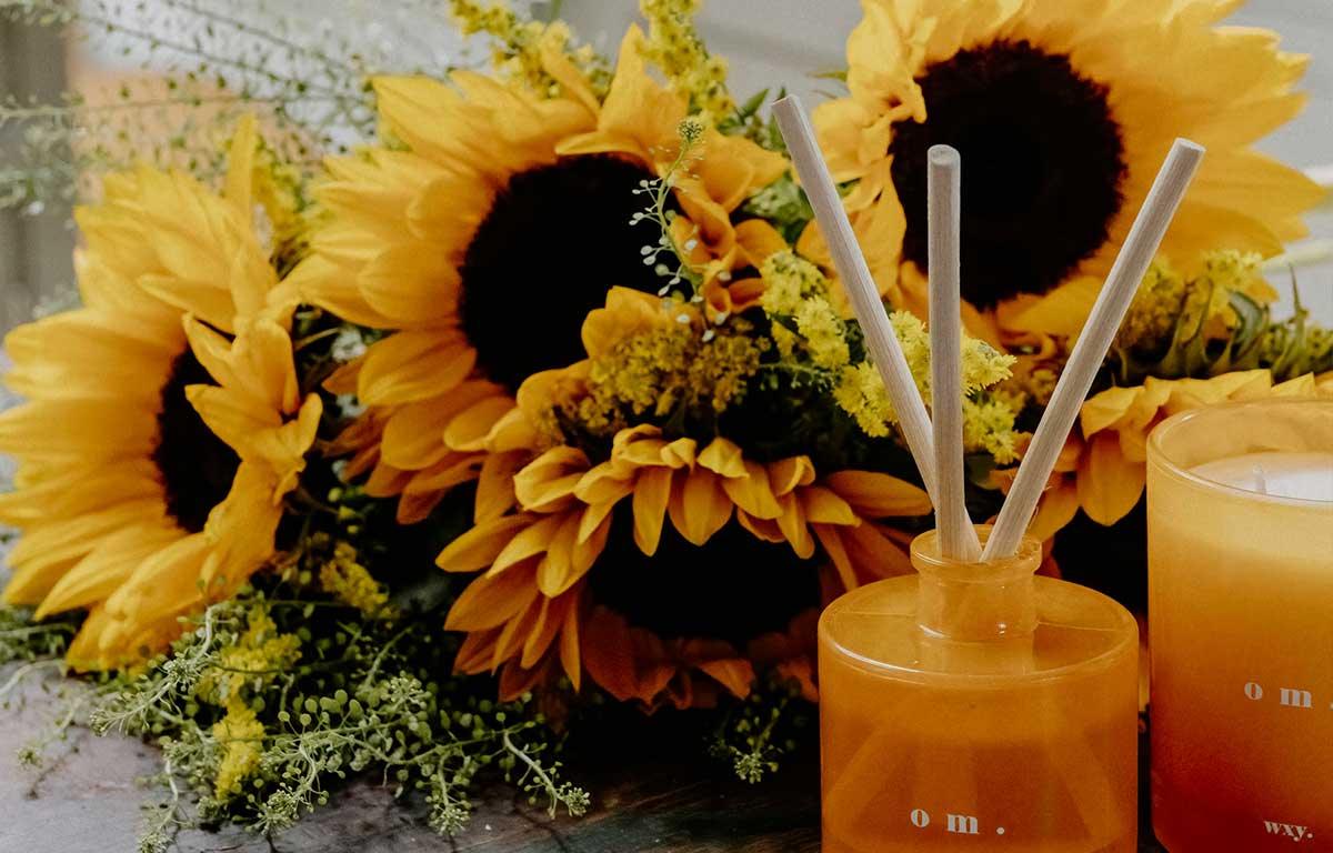How to Grow Sunflowers in the UK and Where to Order Sunflower Bouquets - The Blossomist