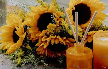 How to Grow Sunflowers in the UK and Where to Order Sunflower Bouquets - The Blossomist