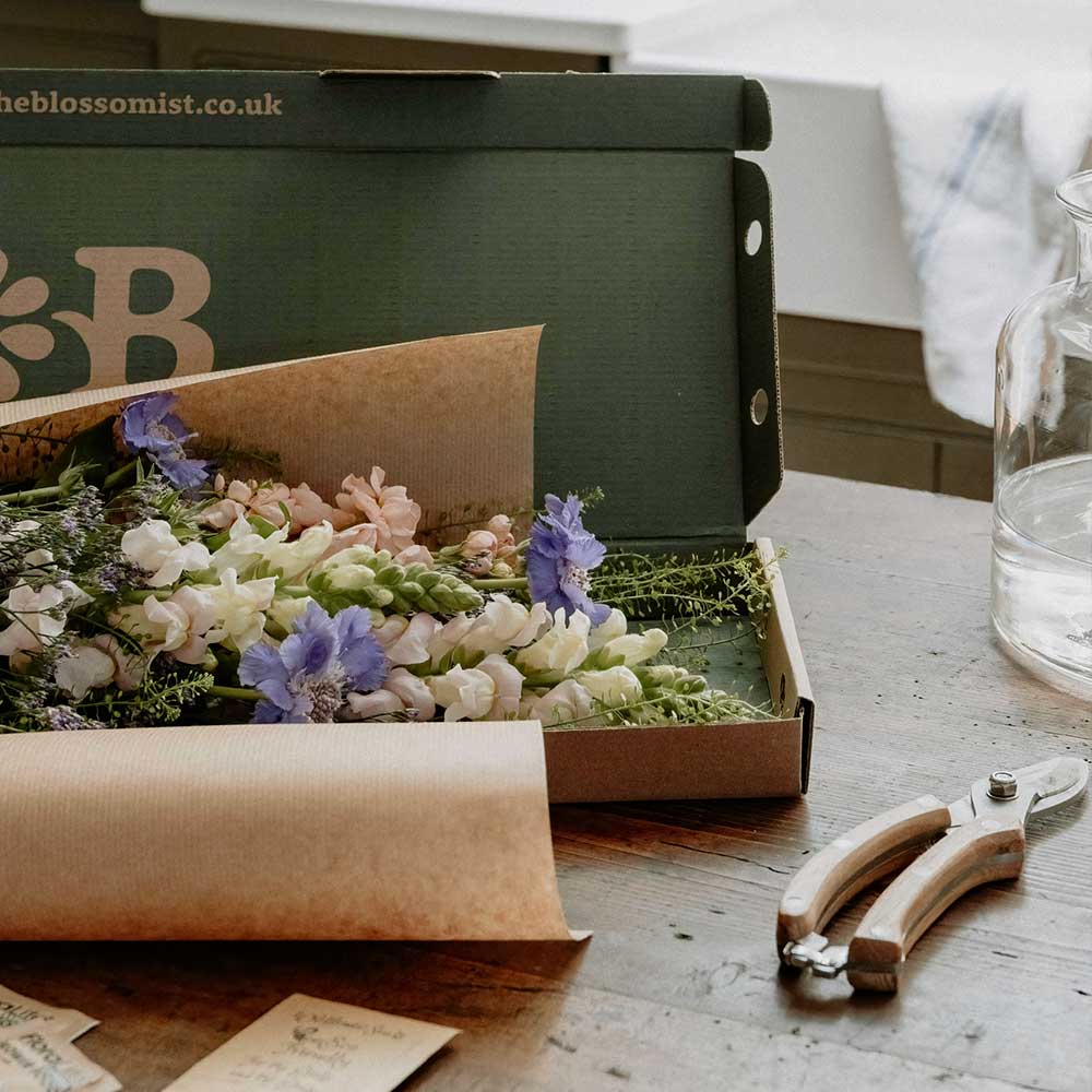How to Master the Art of Letterbox Flower Arranging - The Blossomist