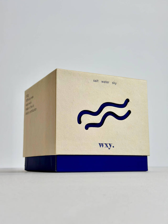 12.5oz candle - Salt Water - The Blossomist