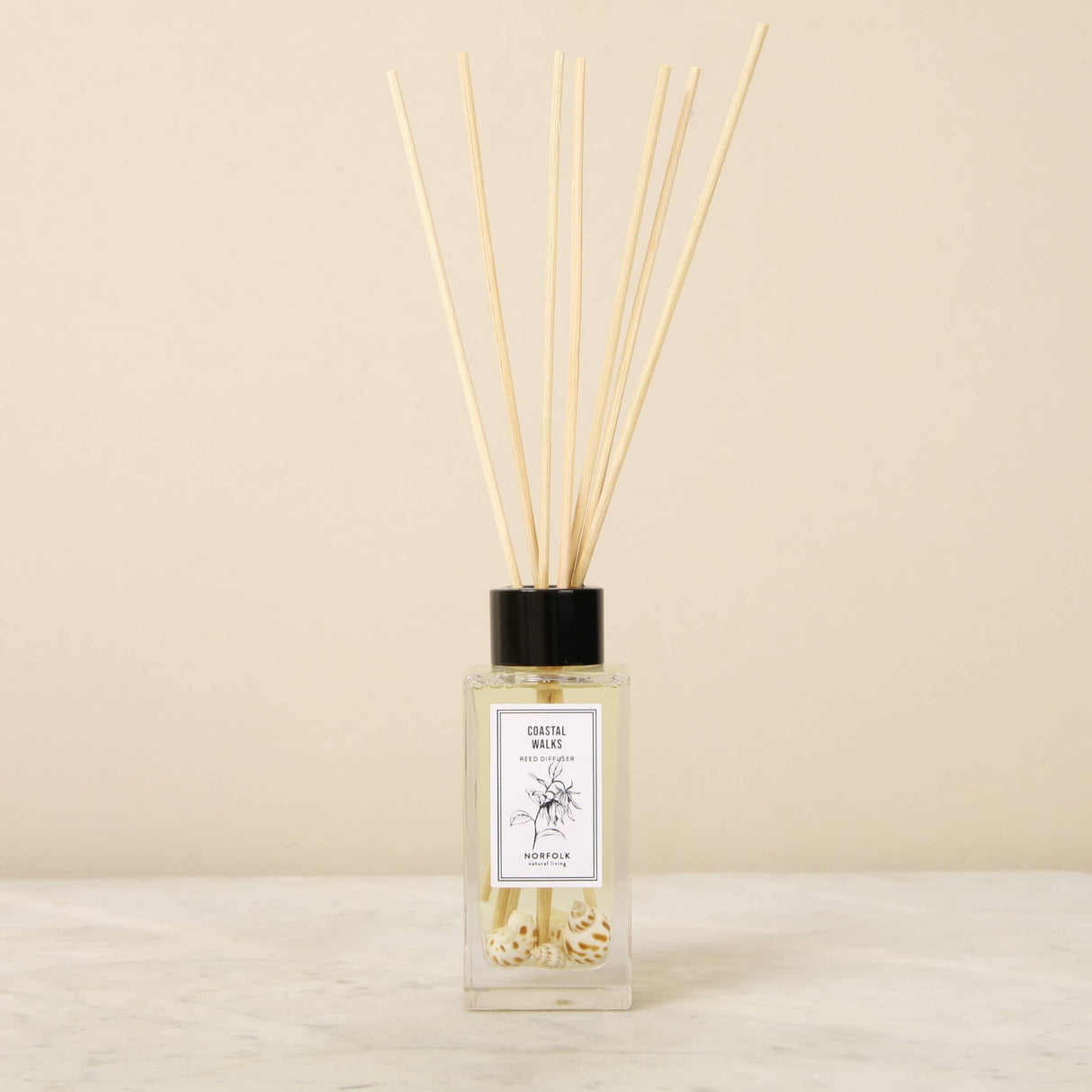 Coastal Diffuser  - 100ml