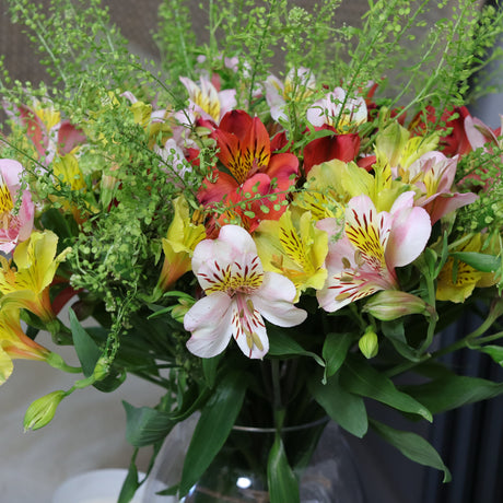 British Alstroemeria Hand-Tied Flowers