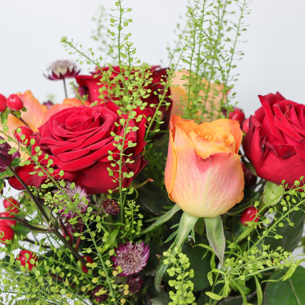 Roses, Astrantia and Thlaspi