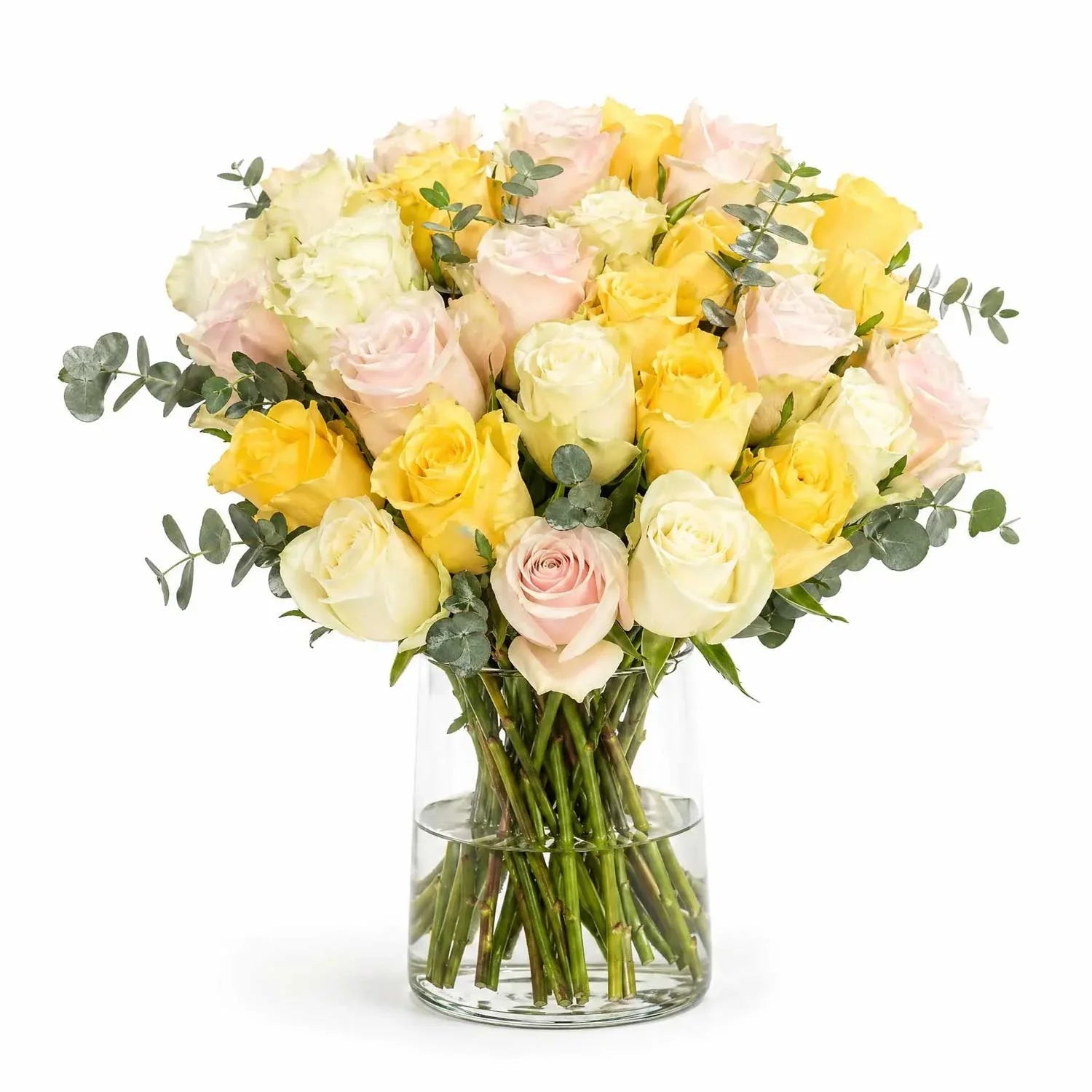 A Bouquet of Roses