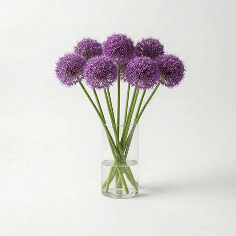 Allium Gladiator - Flower Bouquet - The Blossomist