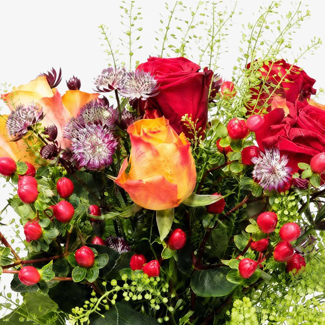 The Autumn Whisper Letterbox Flowers