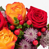 The Autumn Whisper Letterbox Flowers