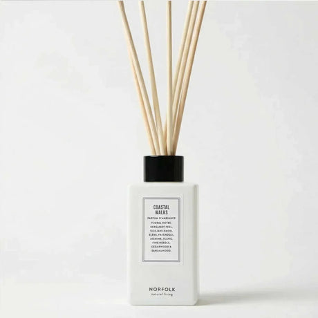 Coastal Diffuser - 100ml - The Blossomist