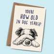 Dog Years Card - Birthday Card - Greetings Card - The Blossomist