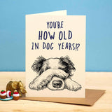 Dog Years Card - Birthday Card - Greetings Card - The Blossomist