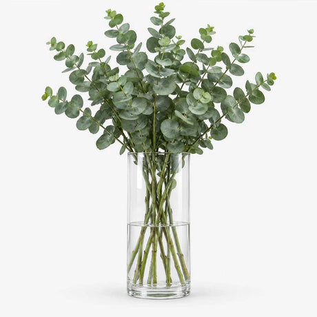 Eucalyptus Bunch - Flower Bouquet - The Blossomist