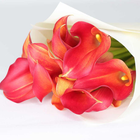 Orange Calla Lily - Flower Bouquet - The Blossomist