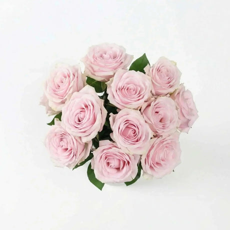 Pink Avalanche Roses - Flower Bouquet - The Blossomist