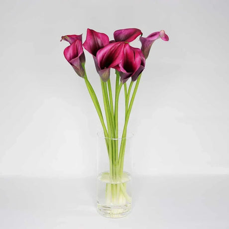 Pink Calla Lily - Flower Bouquet - The Blossomist