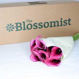 Pink Calla Lily - Flower Bouquet - The Blossomist