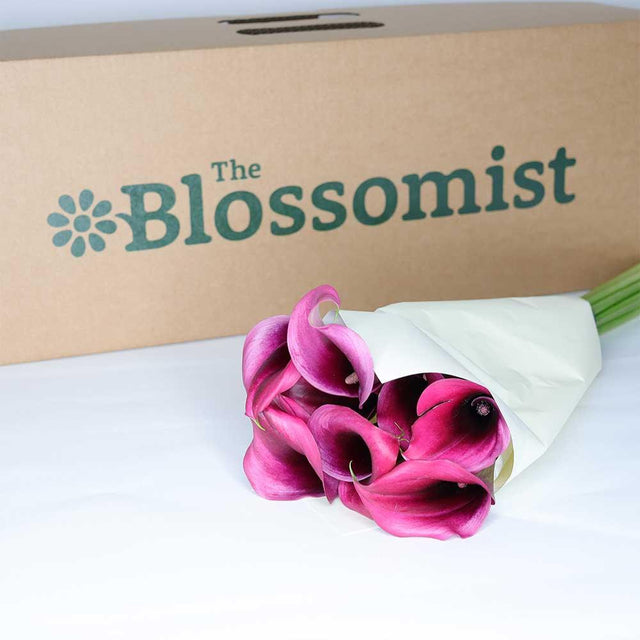 Pink Calla Lily - Flower Bouquet - The Blossomist