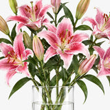 Pink Oriental Lilies