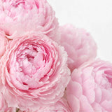 Pink Peonies Bouquet