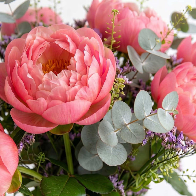Pink Peony Letterbox Flowers