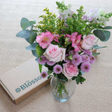 Letterbox Roses