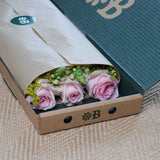 Letterbox Roses
