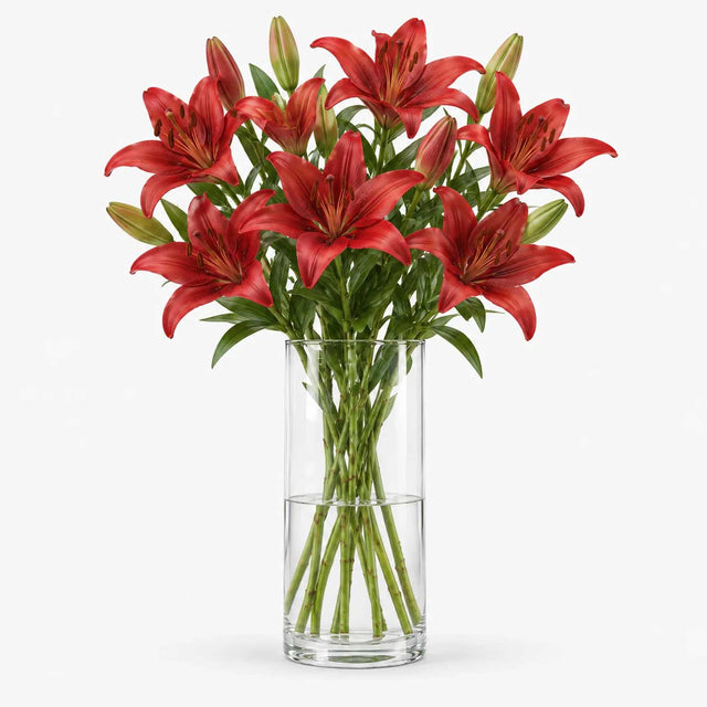 Red Lilies