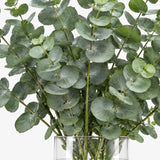 Eucalyptus Bunch